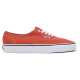 Vans UA Authentic Cthr